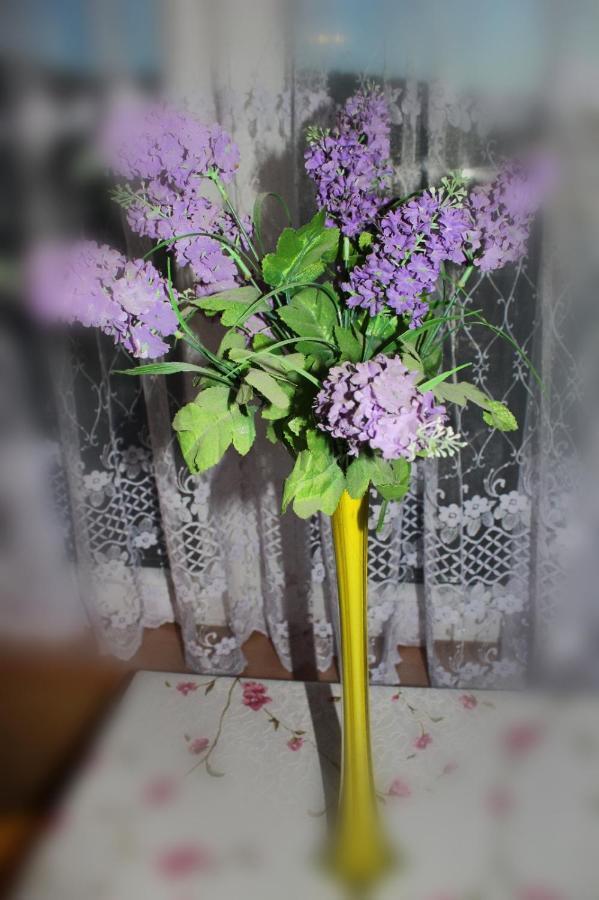 Pati Apartament Slonko Висла Экстерьер фото