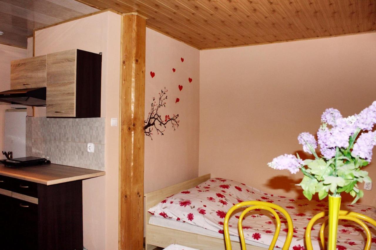 Pati Apartament Slonko Висла Экстерьер фото